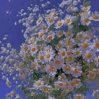 tác giả "trong sáng"