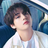 Kim Taehyung [ V ]