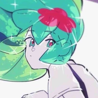 Watermelon Tomaline { Toma }