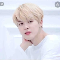 Park Jimin( anh cô)