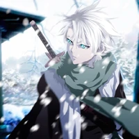 Toshiro Hitsugaya
