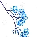 Đọc đi các bạn