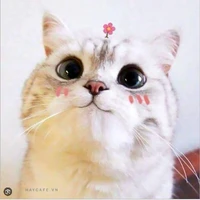 T/G Đáng yêu:)))