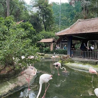 All (trừ ai cần trừ thì trừ)