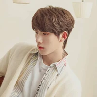 Đinh Trình Hâm ( cậu)