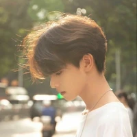 Hải Dương(Thụ)17t(tử hàn)