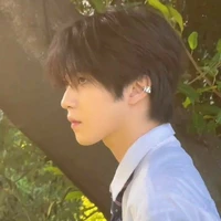 Điệp Tử Ninh ( lớp 11c4)17t