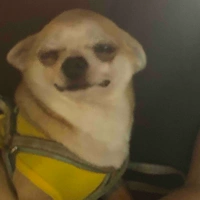 T/g