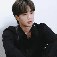 Lưu Diệu Văn (anh)