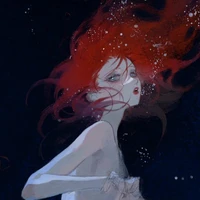 Kurokawa Scarlet/2406