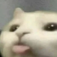 tên t đẹp hay sao mà nhìn z