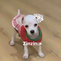 Nhỏ tg iu choá=)