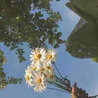 Lý Ngưng An