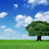 nhân vật nữ/nam
