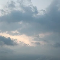 ? ? ?