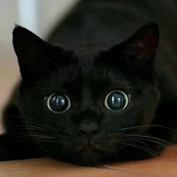 kuro