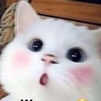 Mì-chan (t/g)