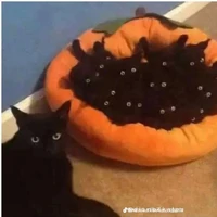 all
