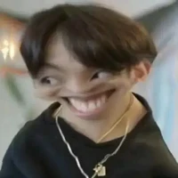 Y/n