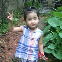 Tg cutii 