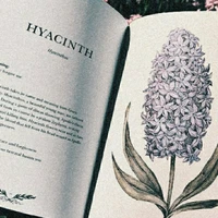 Tác giả đây