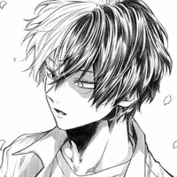 Todoroki Shoto