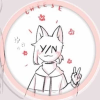 Y/N