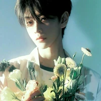 Tô Kim Ngưu •@NguuHamAn•