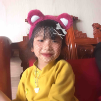 Sóc cutii
