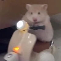 TG