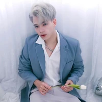 Hoài Việt  - mr vịt -