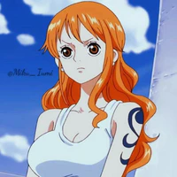 (Bellemere) Nami