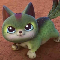 Cattus