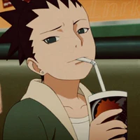 Nara Shikadai