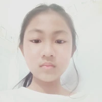 bảo thi