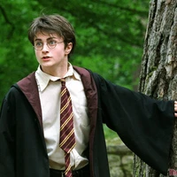 Harry Potter