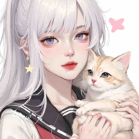 Y/N 