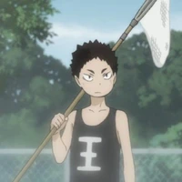 Iwaizumi Hajime 
