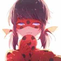 Ladybug