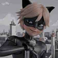 Chat noir 