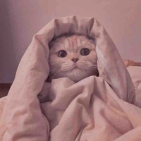 Tác giả cute phô mai que