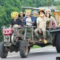 all nhóm mũ rơm