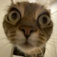 con tg lười bín =))♡