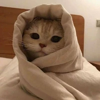 Tác Giả
