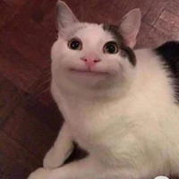 t/g
