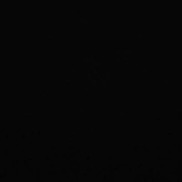 Giám đốc tập đoàn Victory