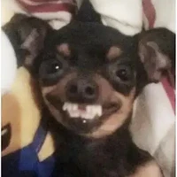 Nv quần chúng/Ẩn danh