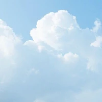 NV tạp