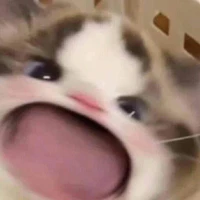 tác giả=))
