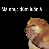 tác giả